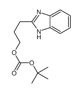 3-(1H-benzimidazol-2-yl)propyl tert-butyl carbonate结构式