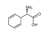 (R)-α-aminocyclohexadi-2,5-ene-1-acetic acid structure