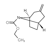ethyl 3-methylidene-8-azabicyclo[3.2.1]octane-8-carboxylate Structure