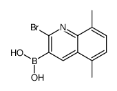 (2-bromo-5,8-dimethylquinolin-3-yl)boronic acid结构式
