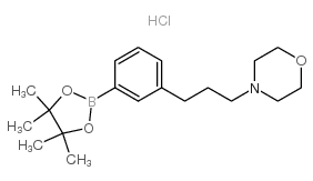 4-(3-(3-(4,4,5,5-TETRAMETHYL-1,3,2-DIOXABOROLAN-2-YL)PHENYL)PROPYL)MORPHOLINE HYDROCHLORIDE Structure