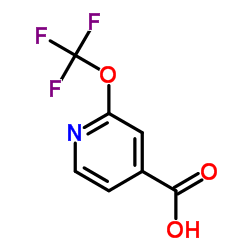 2-(Trifluoromethoxy)isonicotinic acid picture