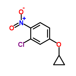 2-chloro-4-cyclopropoxy-1-nitrobenzene结构式