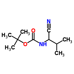 Tert-Butyl N-(1-Cyano-2-Methylpropyl)Carbamate structure