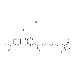 NIR-667 N-SUCCINIMIDYL ESTER图片