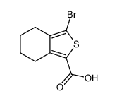 3-bromo-4,5,6,7-tetrahydrobenzo[c]thiophene-1-carboxylic acid Structure