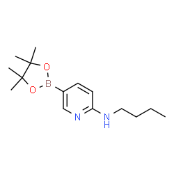 2-BUTYLAMINO-5-PYRIDINEBORONIC ACID, PINACOL ESTER structure