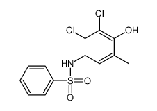 N-(2,3-dichloro-4-hydroxy-5-methylphenyl)benzenesulfonamide结构式