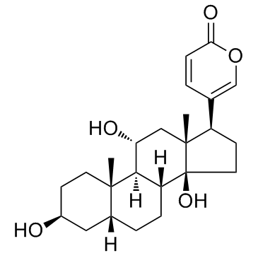 Gamabufotalin Structure