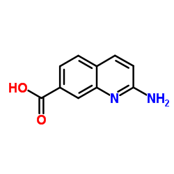 2-Aminoquinoline-7-carboxylic acid Structure