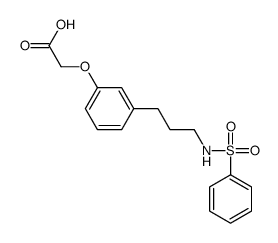 2-[3-[3-(benzenesulfonamido)propyl]phenoxy]acetic acid Structure