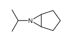 6-Azabicyclo[3.1.0]hexane,6-(1-methylethyl)-(9CI) structure