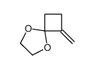 1-Methylene-5,8-dioxaspiro[3.4]octane picture