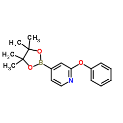 2-Phenoxypyridine-4-boronic acid pinacol ester结构式
