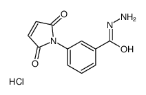 3-正马来酰亚胺基苯肼盐酸盐结构式