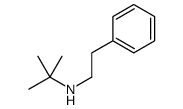 2-methyl-N-(2-phenylethyl)propan-2-amine结构式