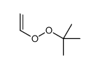 2-ethenylperoxy-2-methylpropane结构式