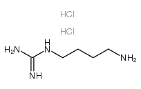 1-(4-AMINOBUTYL)GUANIDINE DIHYDROCHLORIDE structure