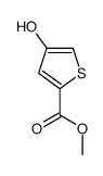 4-Hydroxy-2-thiophenecarboxylic acid methyl ester结构式