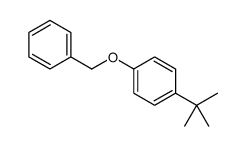 1-tert-butyl-4-phenylmethoxybenzene结构式