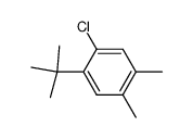 4-tert-butyl-5-chloro-o-xylene Structure