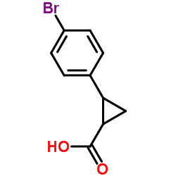 2-(4-Bromophenyl)cyclopropanecarboxylic acid picture