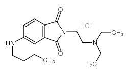 4-Butylamino-N-(2-(diethylamino)ethyl)phthalimide hydrochloride structure