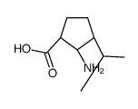 Cyclopentanecarboxylic acid, 2-amino-3-(1-methylethyl)-, (1R,2S,3S)- (9CI) picture