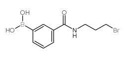 N-(3-溴丙基)-3-硼苯甲酰胺图片
