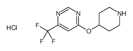 4-piperidin-4-yloxy-6-(trifluoromethyl)pyrimidine,hydrochloride Structure