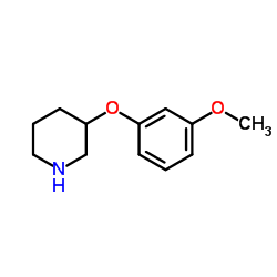 3-(3-Methoxyphenoxy)piperidine Structure