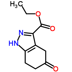 Ethyl 5-oxo-4,5,6,7-tetrahydro-1H-indazole-3-carboxylate Structure