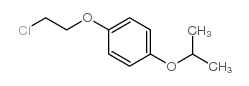 1-(2-chloroethoxy)-4-propan-2-yloxybenzene结构式