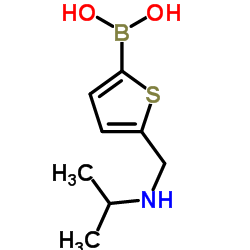{5-[(Isopropylamino)methyl]-2-thienyl}boronic acid结构式