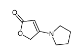 3-pyrrolidin-1-yl-2H-furan-5-one结构式