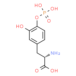 DOPA 4-phosphate picture