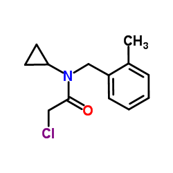 2-Chloro-N-cyclopropyl-N-(2-methylbenzyl)acetamide结构式