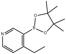 4-乙基吡啶-3-硼酸频哪醇酯图片