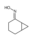 (NE)-N-(5-bicyclo[4.1.0]heptanylidene)hydroxylamine Structure