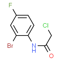 N-(2-Bromo-4-fluorophenyl)-2-chloroacetamide结构式
