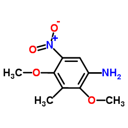 2,4-DIMETHOXY-3-METHYL-5-NITRO-PHENYLAMINE结构式