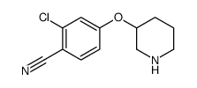 2-氯-4-(-3-哌啶氧基)苯甲腈结构式