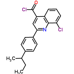 2-(4-sec-Butylphenyl)-8-chloro-4-quinolinecarbonyl chloride picture