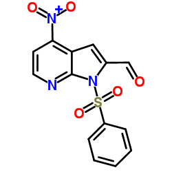 1-(Phenylsulphonyl)-4-nitro-7-azaindole-2-carbaldehyde结构式