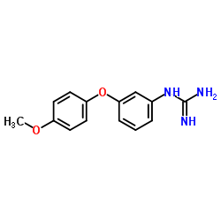 1-(3-(4-Methoxyphenoxy)phenyl)guanidine结构式