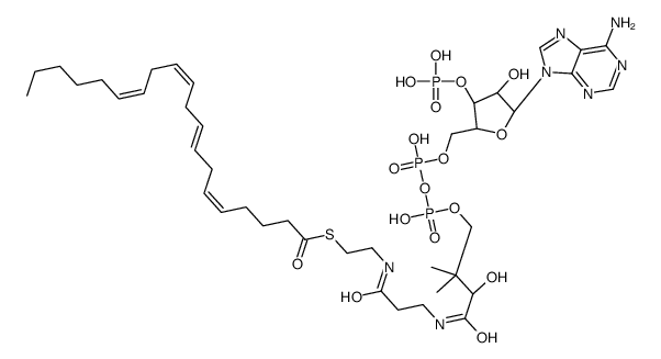 arachidonoyl-CoA Structure