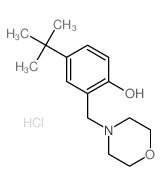 (5Z)-3-(3,4-dimethylphenyl)-2-imino-5-[(4-propan-2-ylphenyl)methylidene]thiazolidin-4-one structure