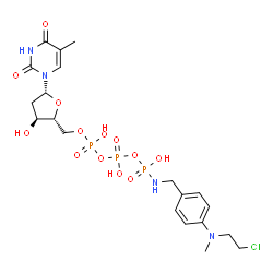 4-(N-(2-chloroethyl)-N-methylamino)benzyl-gamma-amide dTTP structure