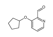 2-Pyridinecarboxaldehyde,3-(cyclopentyloxy)-(9CI)结构式