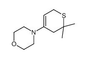 4-(6,6-dimethyl-2,5-dihydrothiopyran-4-yl)morpholine Structure